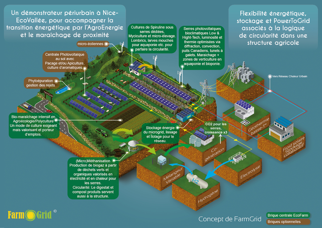 Company FarmGrid