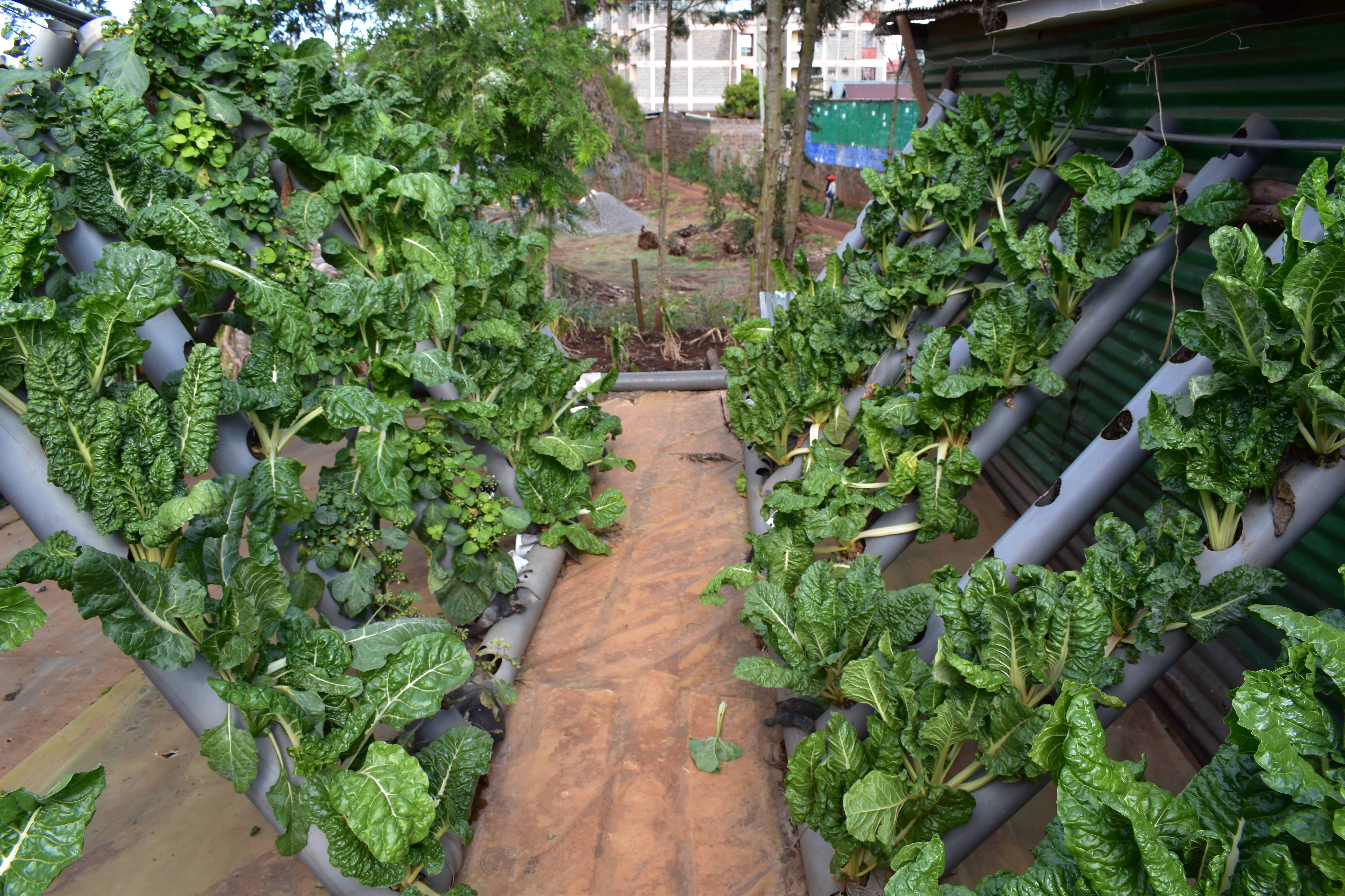 Company Kenya Climate Innovation Center