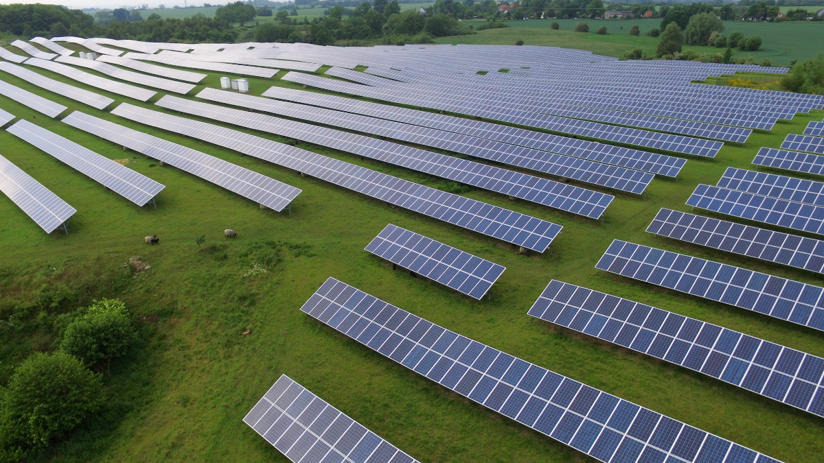 Company ELEN Solar