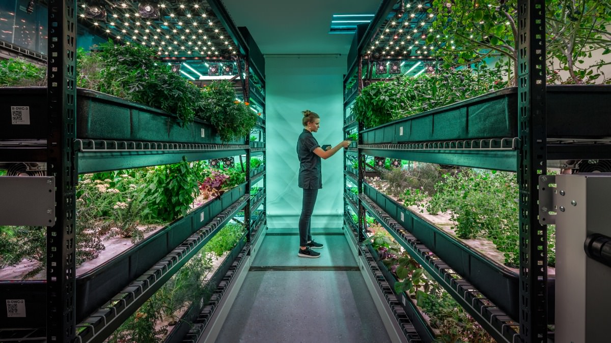 Company Farm One