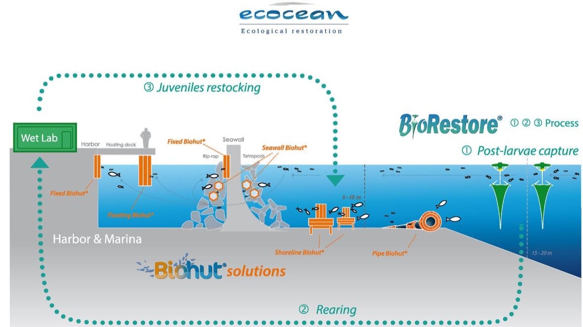 Company ECOCEAN 
