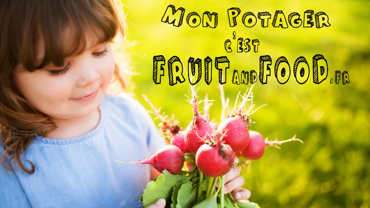 Company fruitandfood.fr