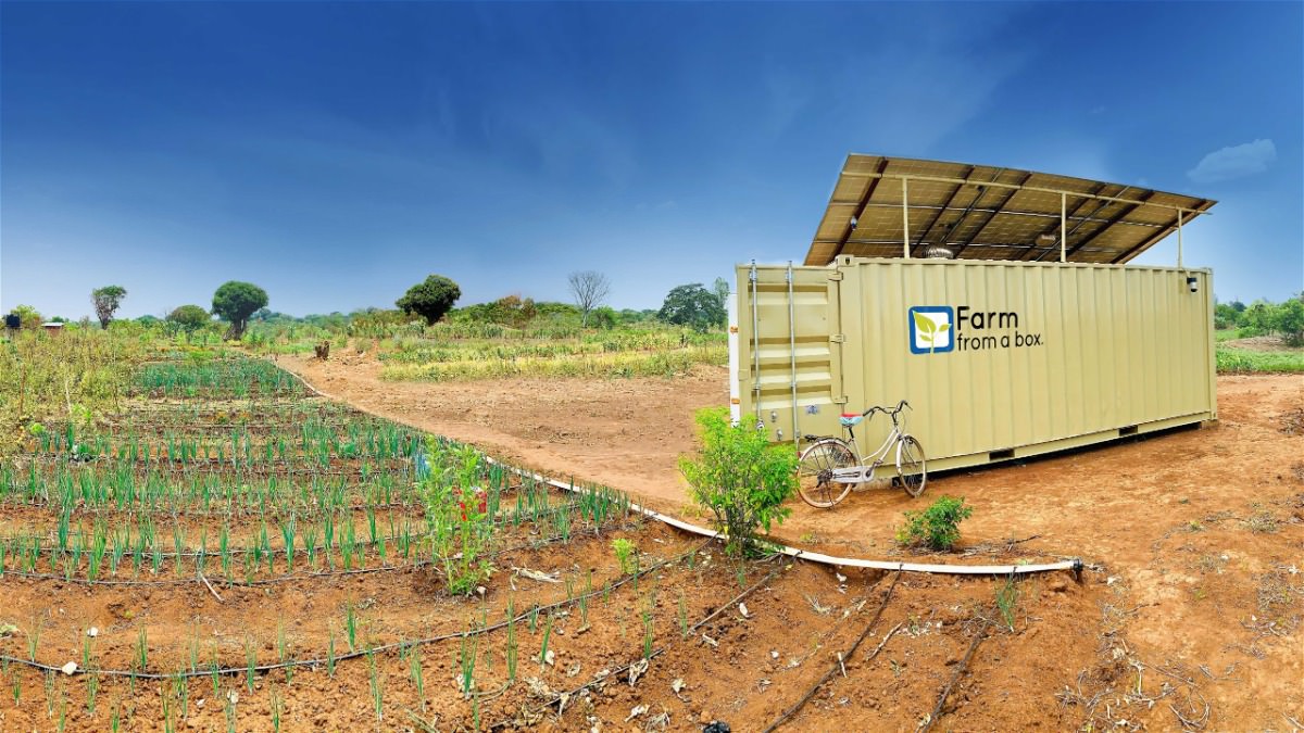 Company Farm from a Box