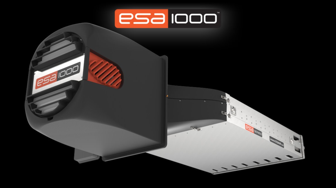 Company ESA