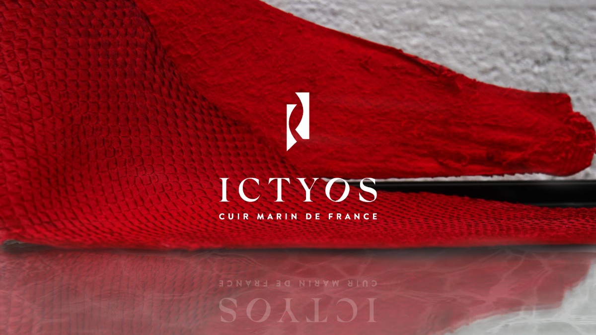 Company ICTYOS