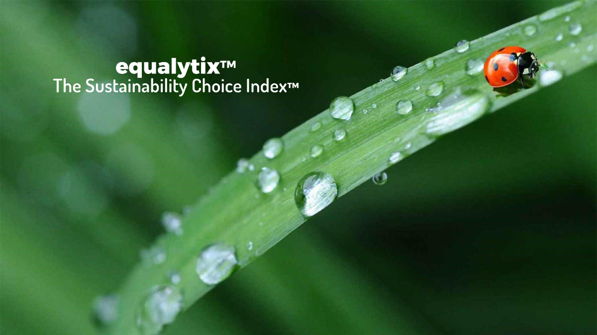Company Equal Limited
