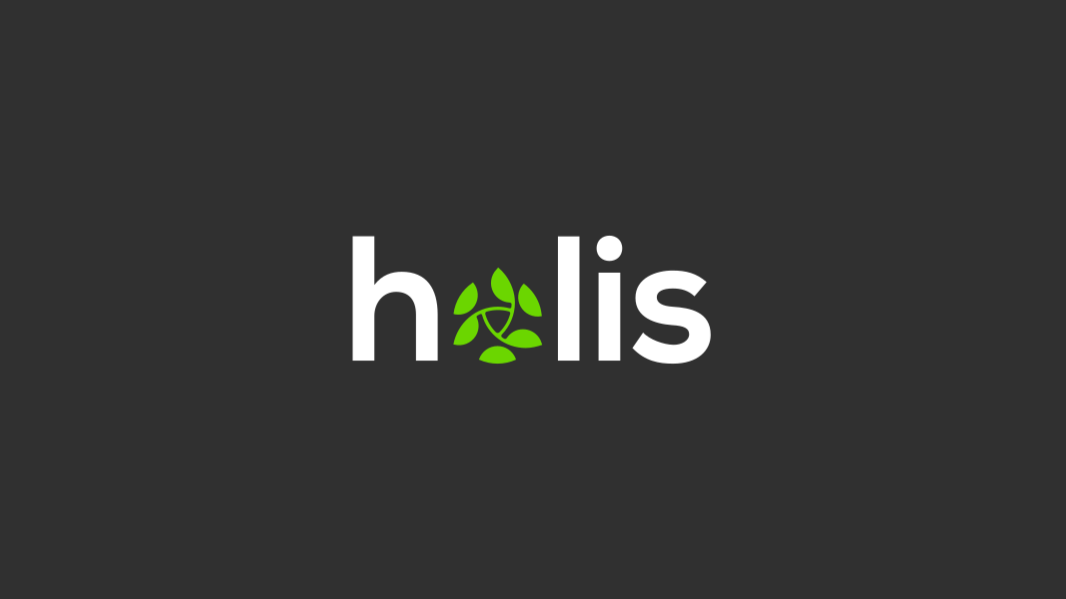 Company Holis