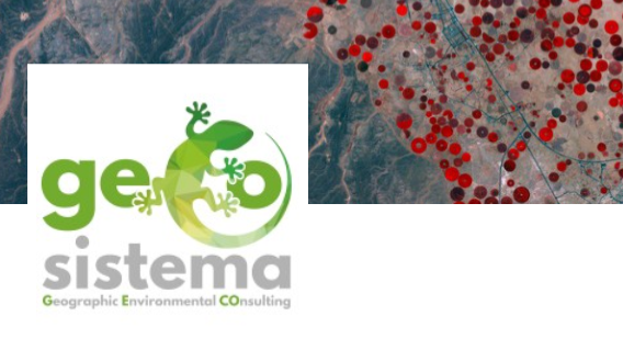 Company GECOsistema