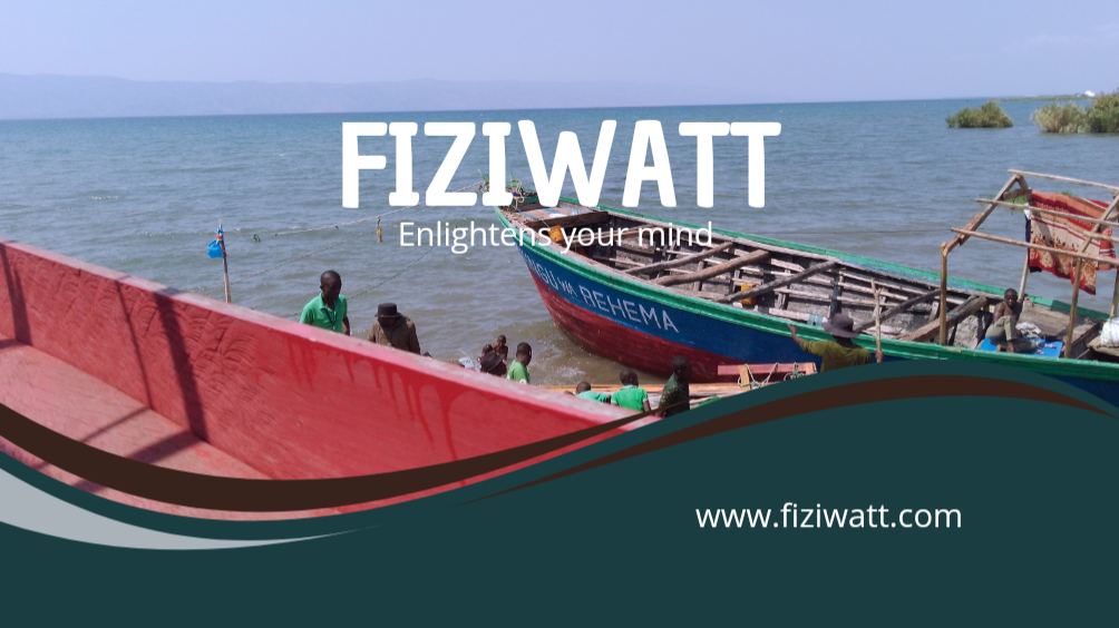 Company FIZIWATT 