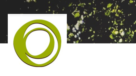 Company Ecodesign