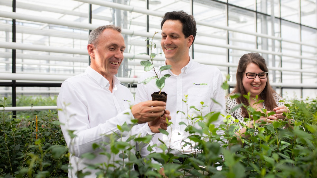 Company Green Impulse