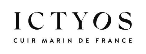 Logo ICTYOS