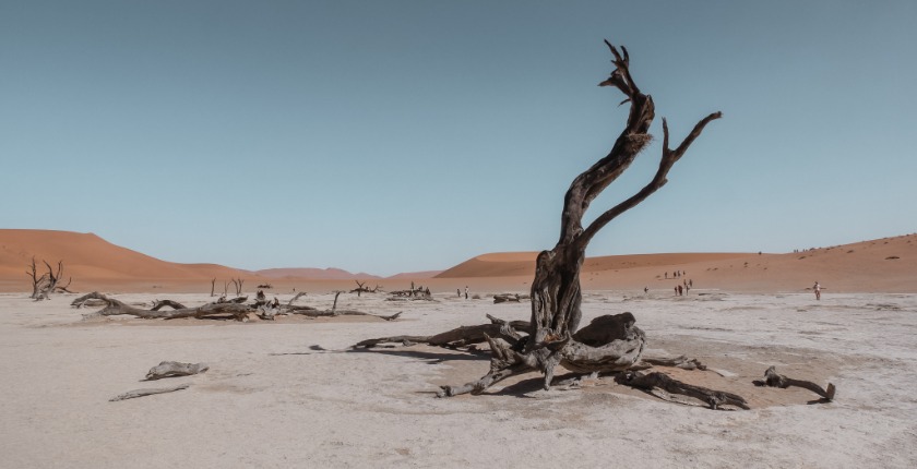 deserto arido