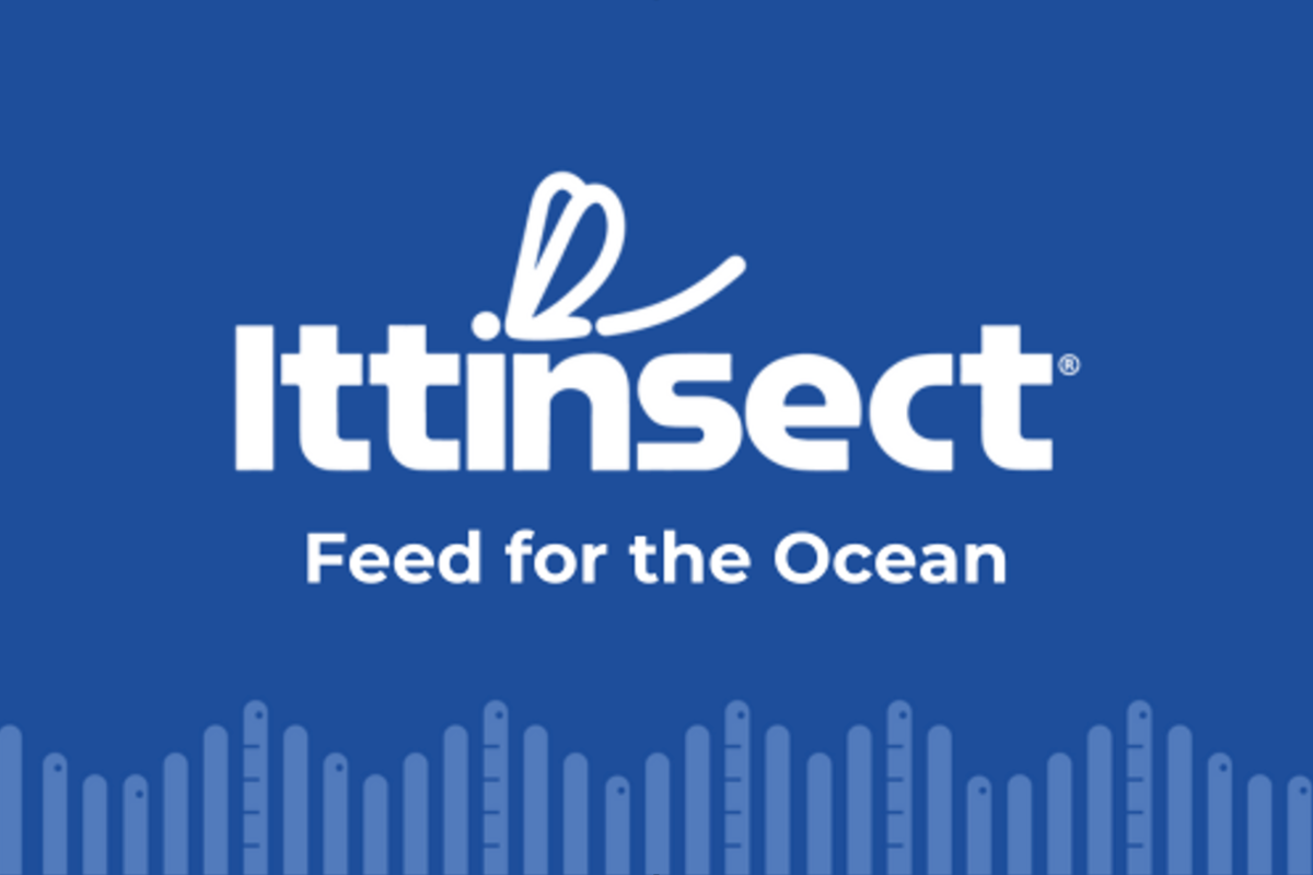 Gallery Feed for the Ocean: sustainable aquaculture 1