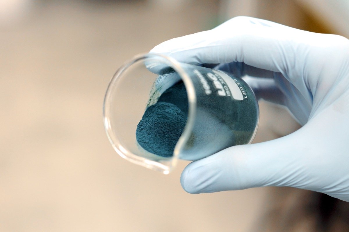 Gallery Renewable protein 1