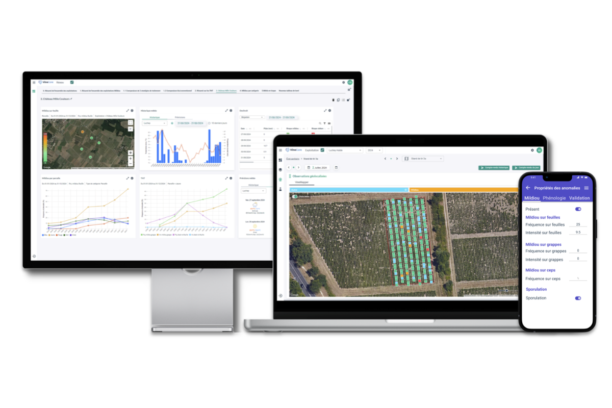 Gallery Agronomic Monitoring 1