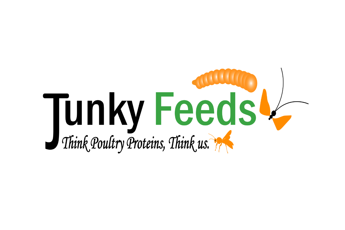 Gallery Junky Bins BSF Project 1